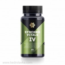 СИНХРОВИТАЛ - IV 60 капс. Сиб. здоровье - Россия